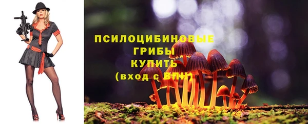 a pvp Баксан