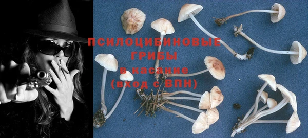 a pvp Баксан